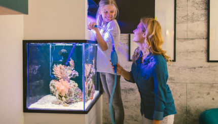 TITLE_ES_ES does not exist