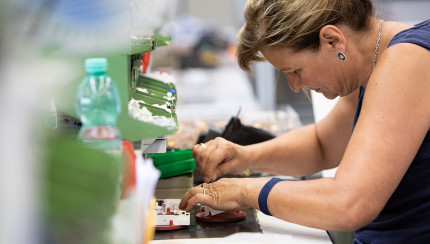 TITLE_ES_ES does not exist